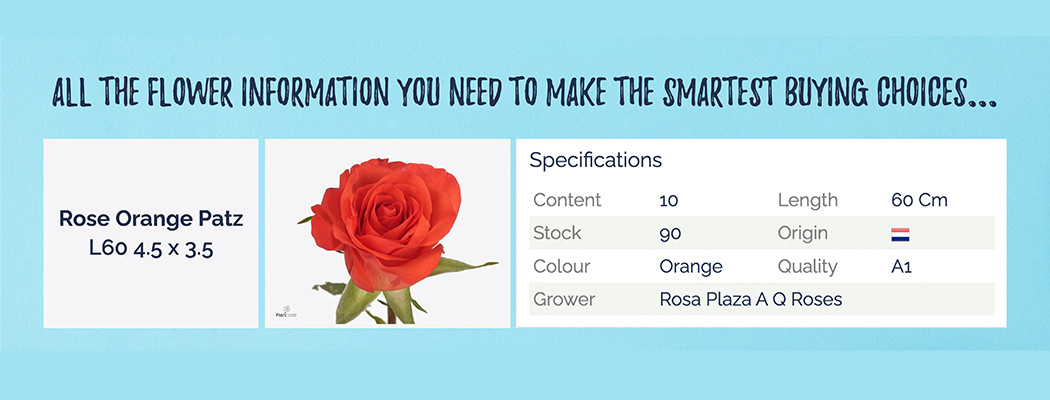The Smartest Way to Buy Flowers - footer banner